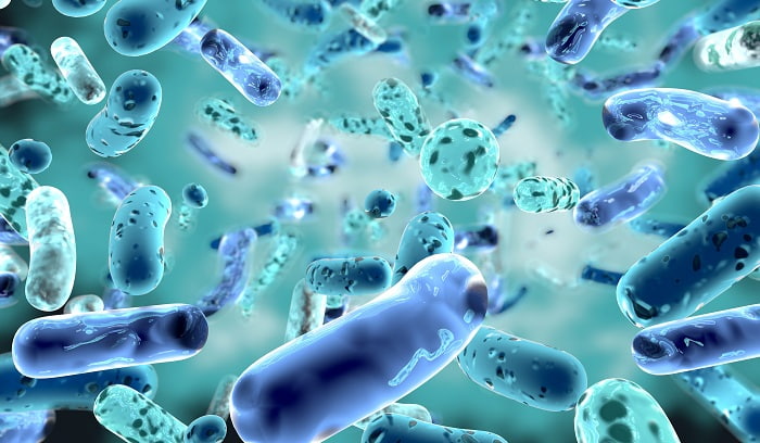 Probiotics and Infections – Are They Safe and Effective?