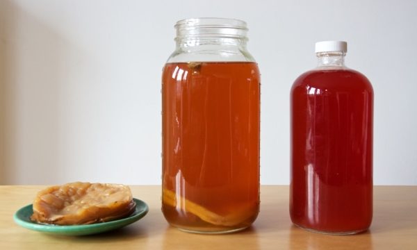 Teh Kombucha, Minuman Fermentasi yang Kembali Populer di Kalangan Urban